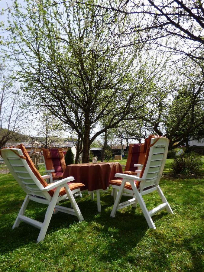 Ferienwohnung Dasch, Bei Idar-Oberstein Im Nationalpark Hunsrueck-Hochwald Siesbach Zewnętrze zdjęcie